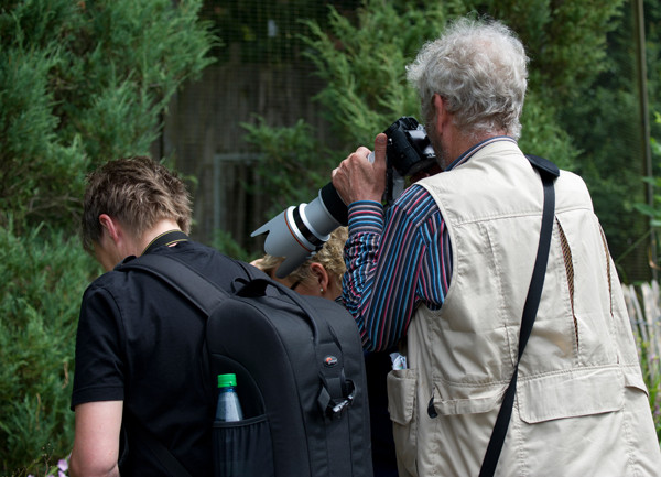 VHS Workshop "Tierfotografie für Fortgeschrittene" 12.07.2014  - Leitung Linda Peinemann