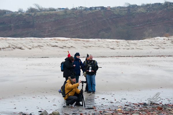 Fotoreise Helgoland - Januar 2015 / Foto: Linda Peinemann