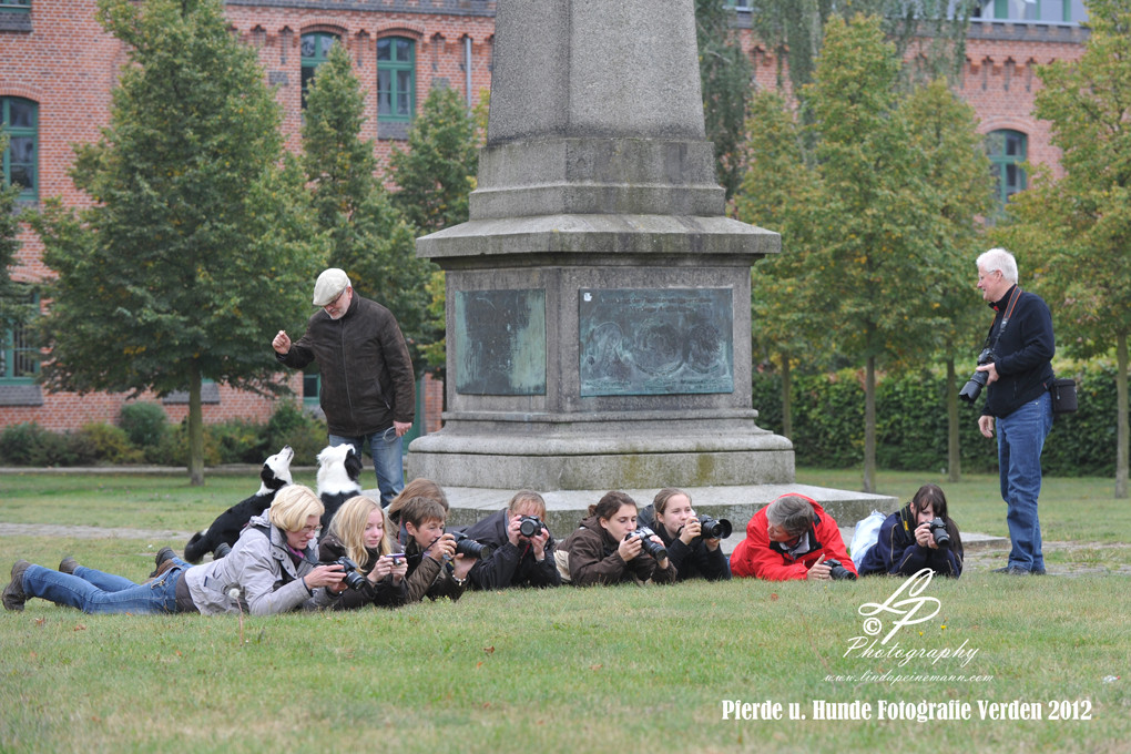 Workshop - Pferdemuseum Verden - Hundefotografie