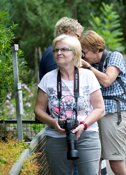 VHS Workshop "Tierfotografie für Fortgeschrittene" 12.07.2014  - Leitung Linda Peinemann