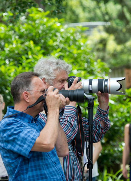 VHS Workshop "Tierfotografie für Fortgeschrittene" 12.07.2014  - Leitung Linda Peinemann