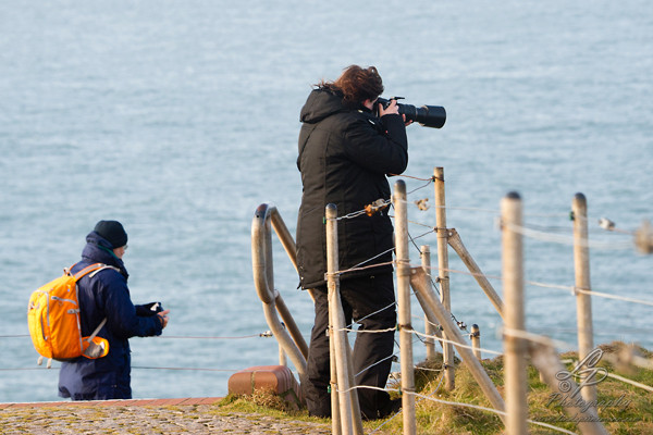 Fotoreise Helgoland - Januar 2015 / Foto: Linda Peinemann