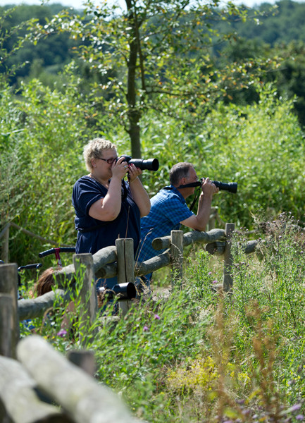 VHS Workshop "Tierfotografie für Fortgeschrittene" 12.07.2014  - Leitung Linda Peinemann