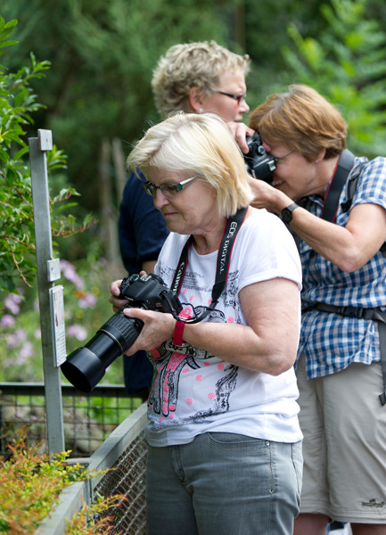 VHS Workshop "Tierfotografie für Fortgeschrittene" 12.07.2014  - Leitung Linda Peinemann