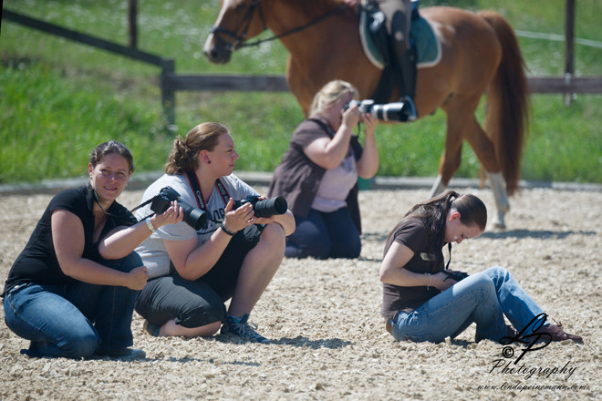 Pferde u.- Hunde Fotoworkshop Hasley. Leitung & Fotografie Linda Peinemann