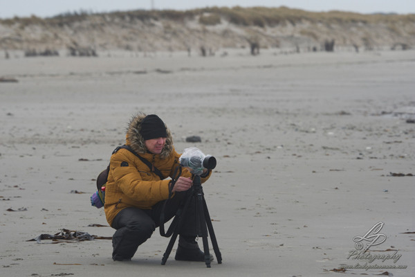 Fotoreise Helgoland - Januar 2015 / Foto: Linda Peinemann