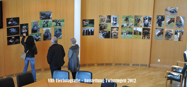 VHS Twistringen - Tierfotografie - Hannover Zoo 2012 - Fotoausstellung im Rathhaus