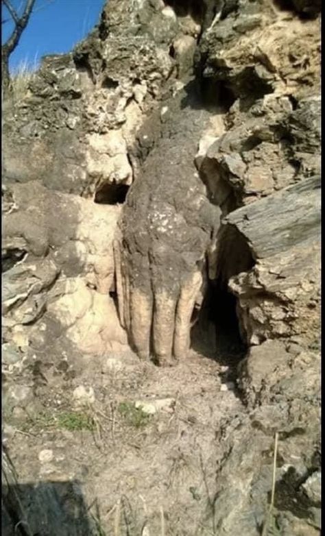 Affen-Hand ?