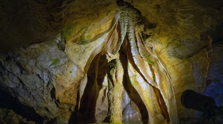 Weibliche Geschlechtsöffnung in Tropfsteinhöhle