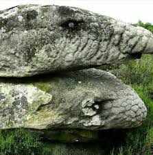 Echsenköpfe