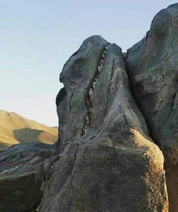 T-Rex