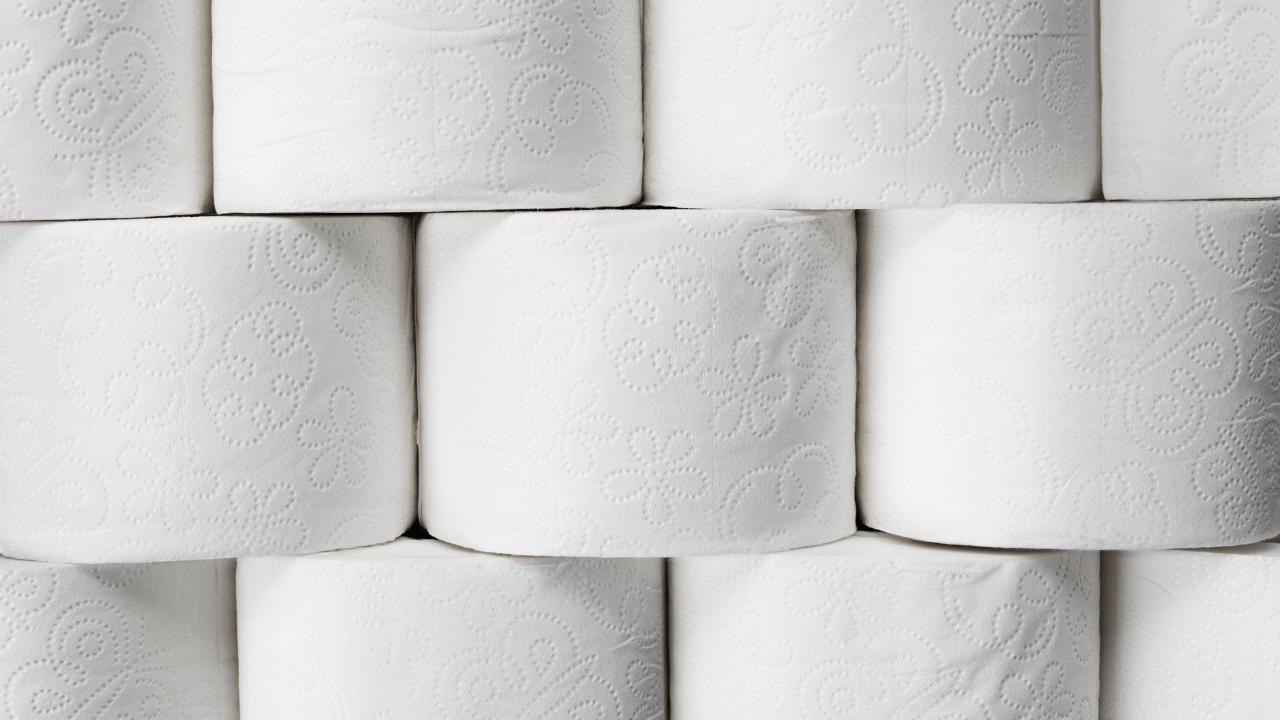 The Holiday Survival Kit: Why You Need a Septic & Plumbing Check NOW