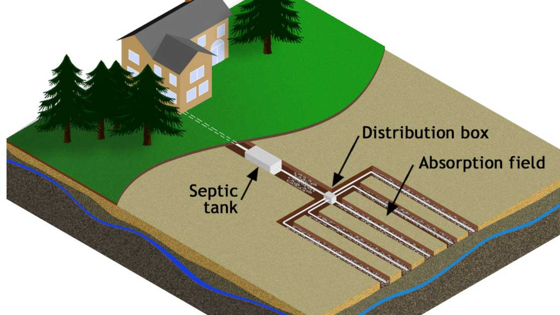 The Invisible Flood: Why Florida’s 2025 Water Table Shifts Threaten Your Septic