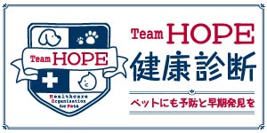 Team HOPE 健康診断