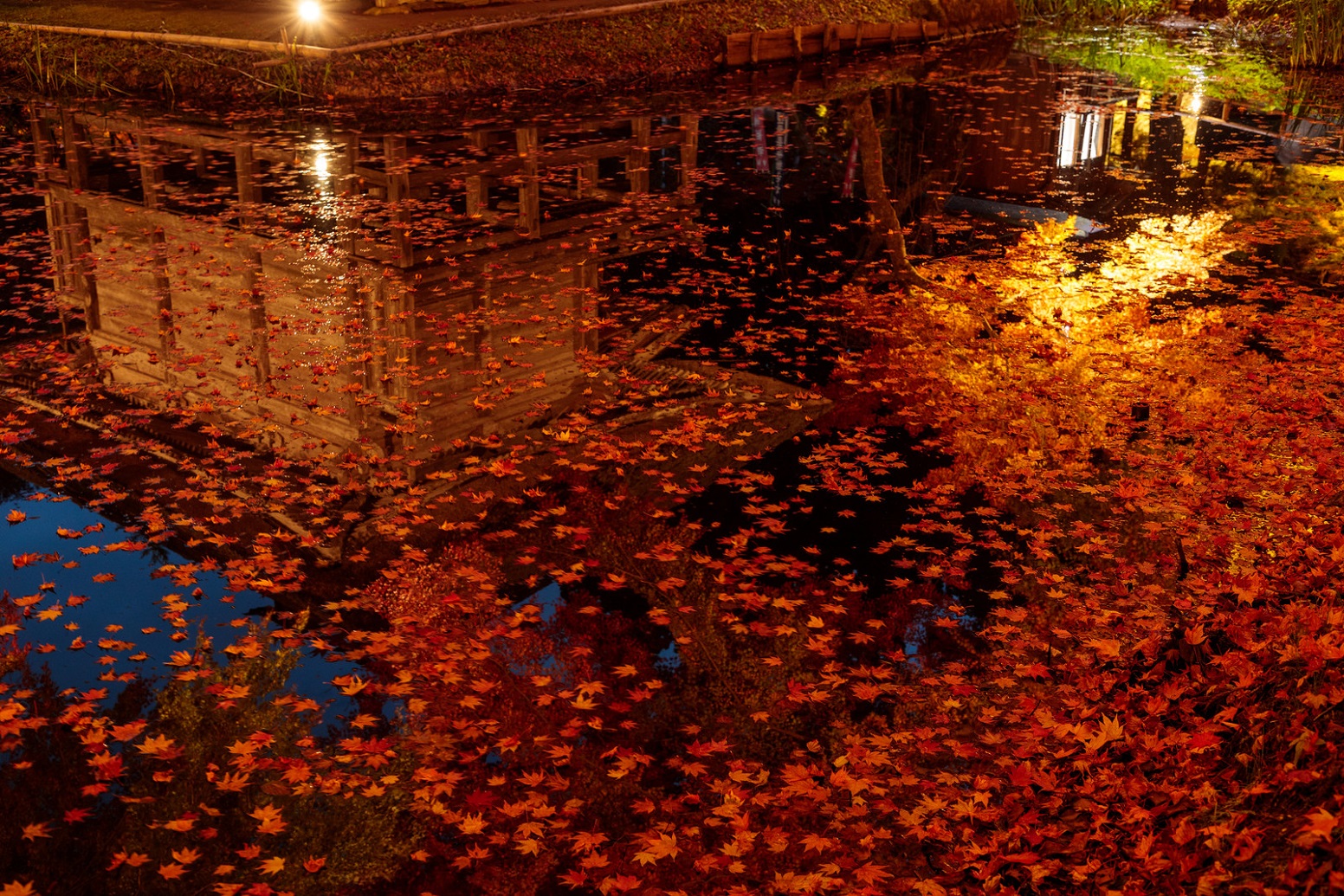 ２６ ことば足らず