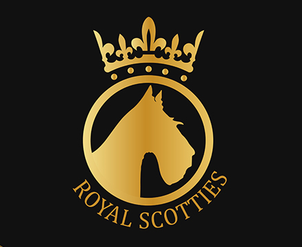 Branding Identity Royal Scotties Anastasiya Design