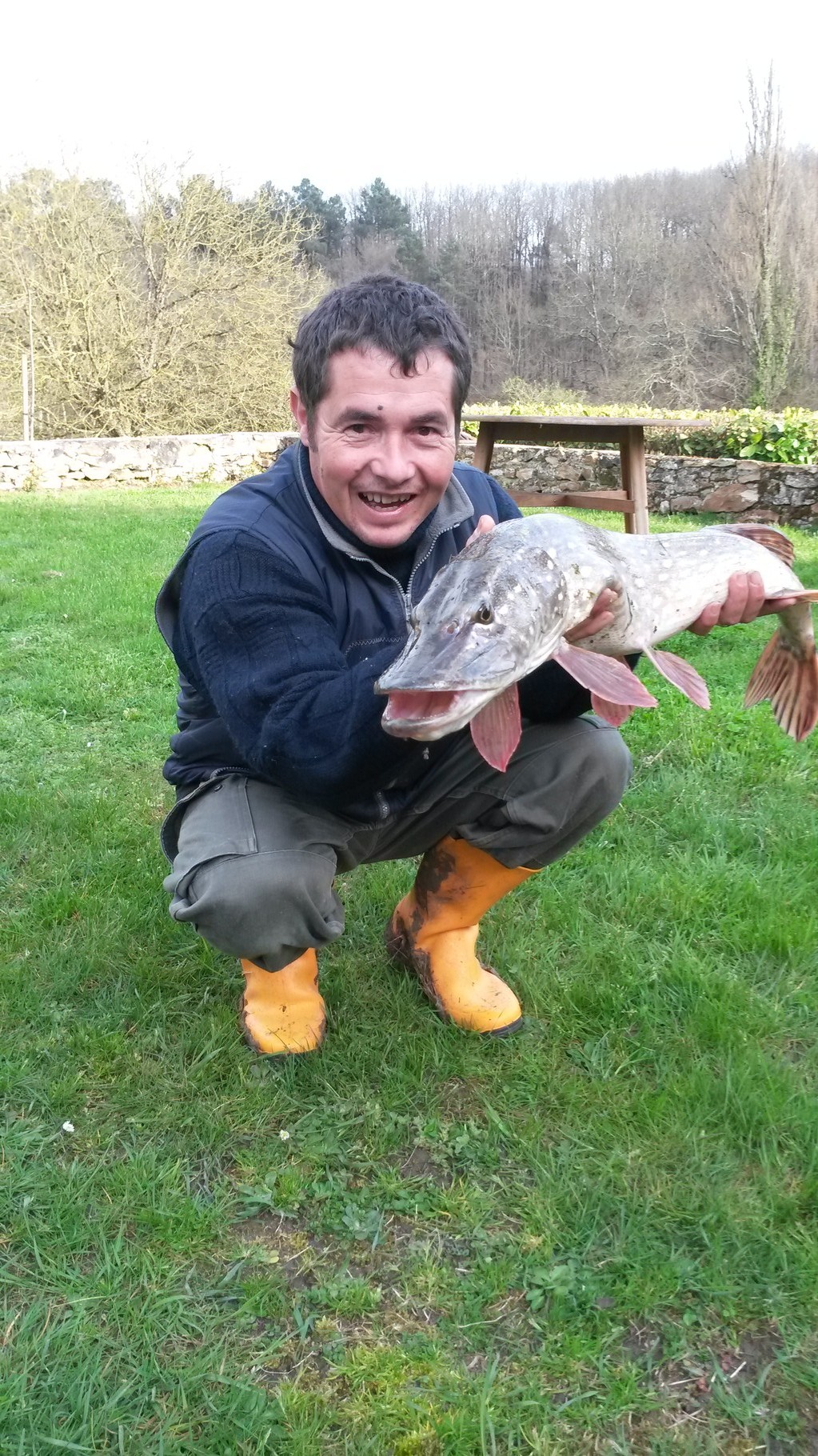 Fische im Teich