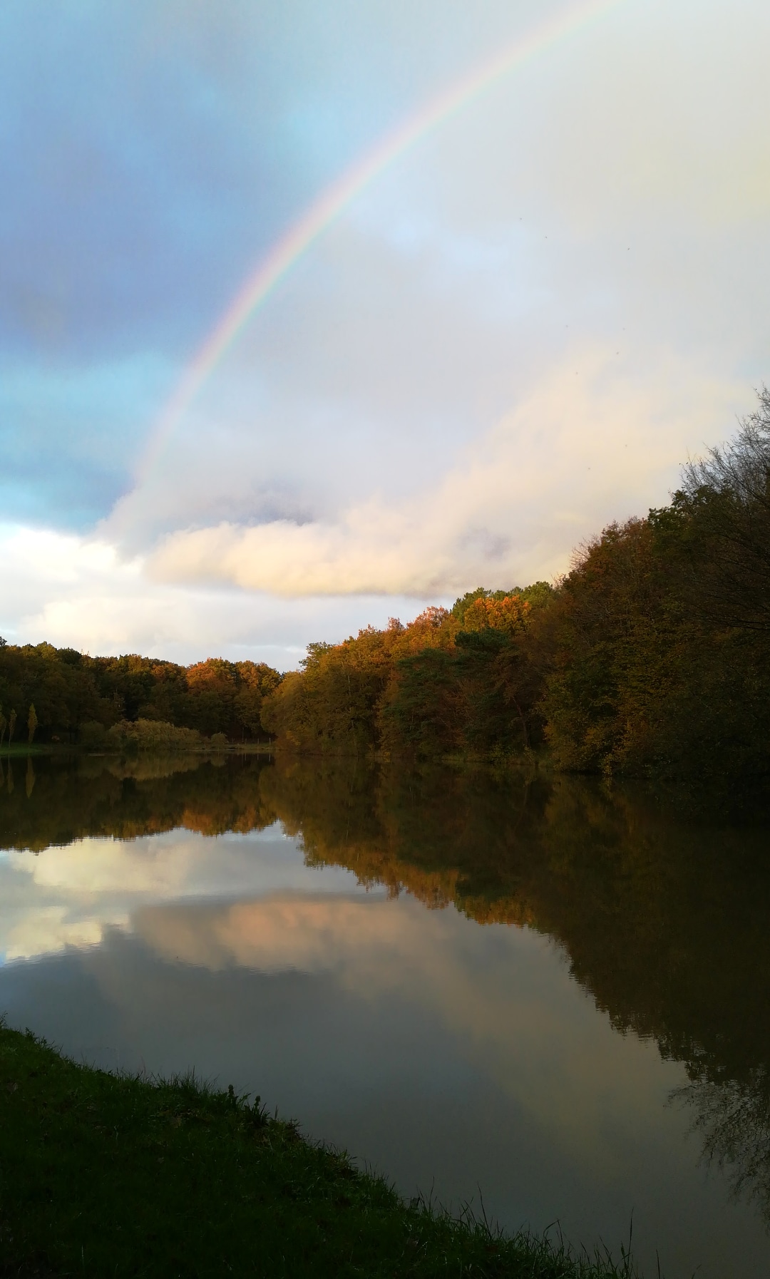 Magnifique arc en ciel au-dessus de l'étang et de la forêt