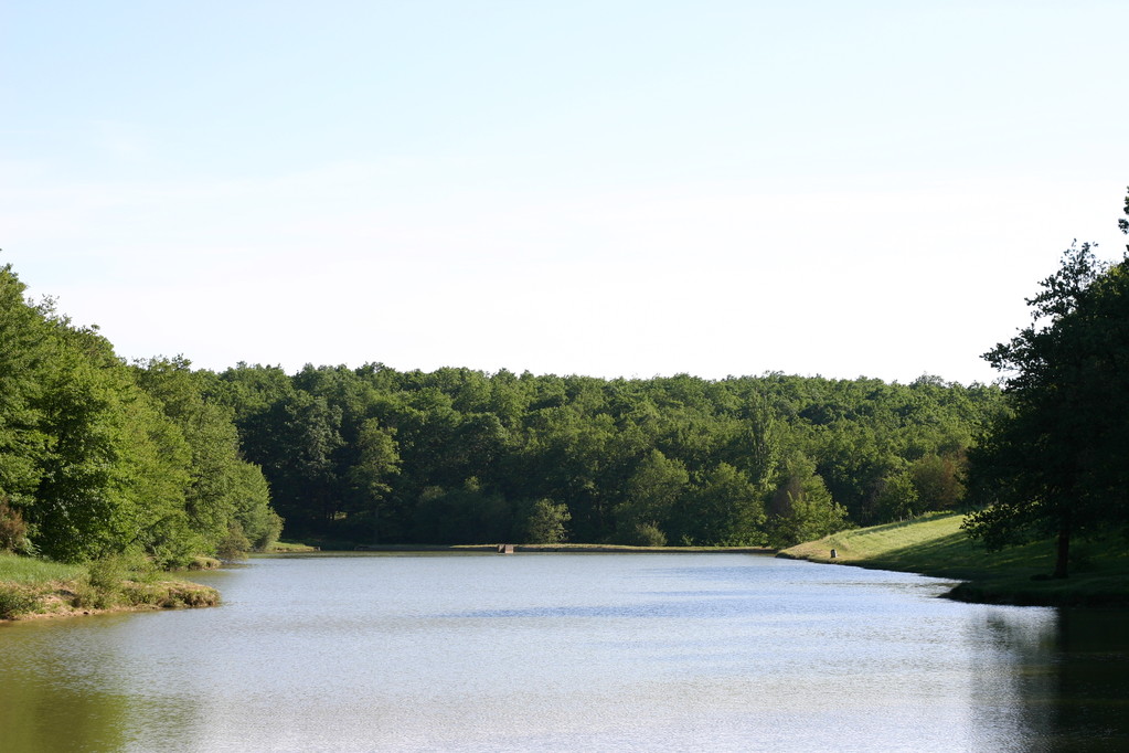 Vue de l'étang