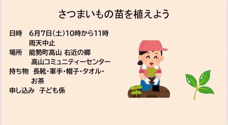 さつまいもの苗を植えよう　6/7