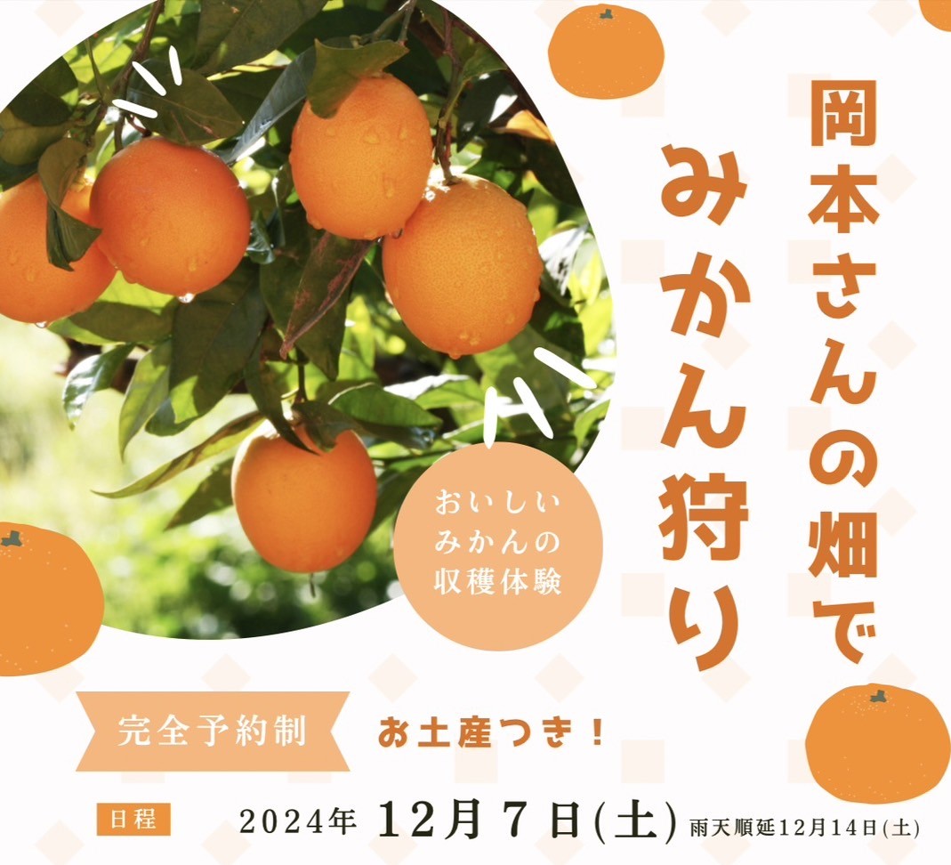 みかん狩り、楽しみました