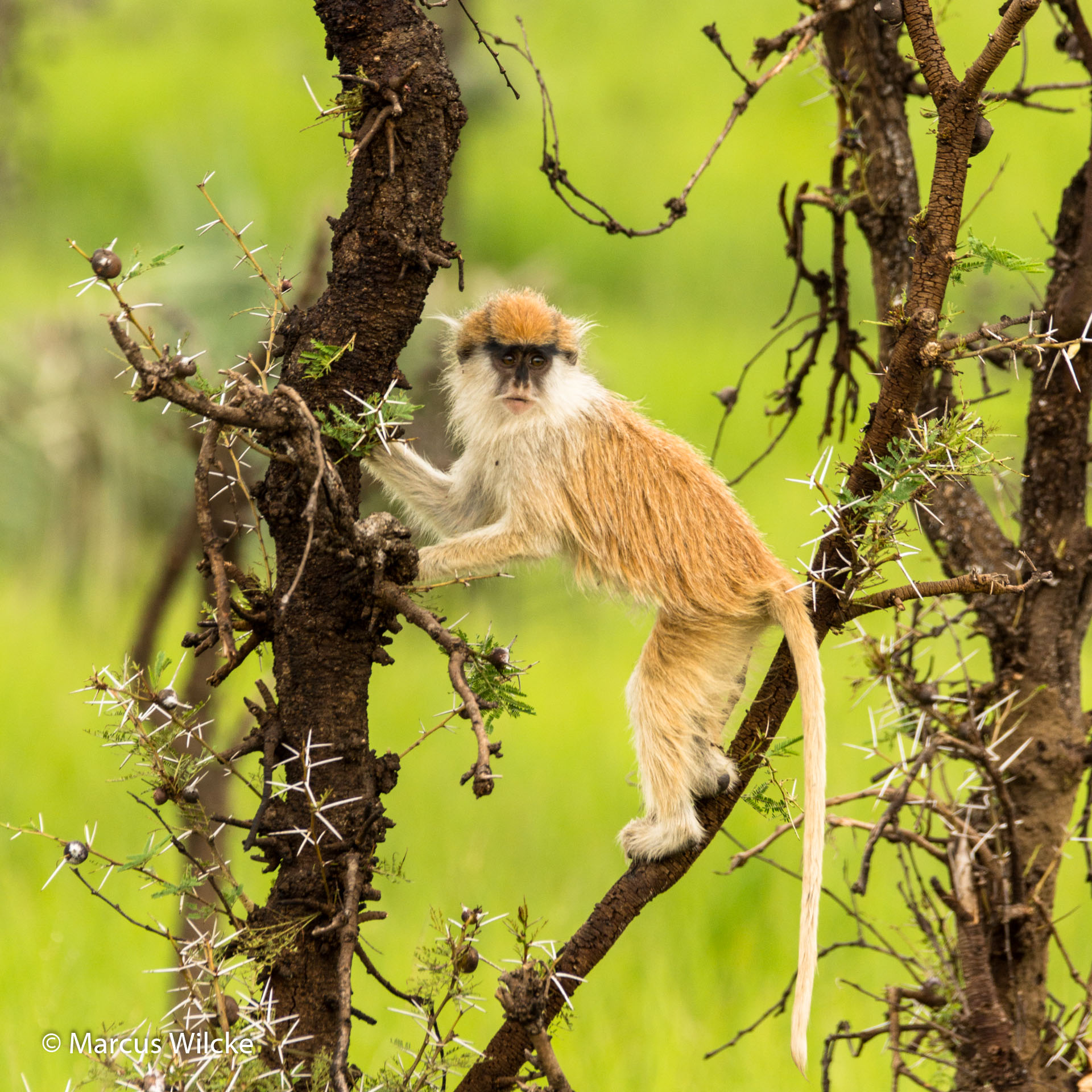 Murchison National Park