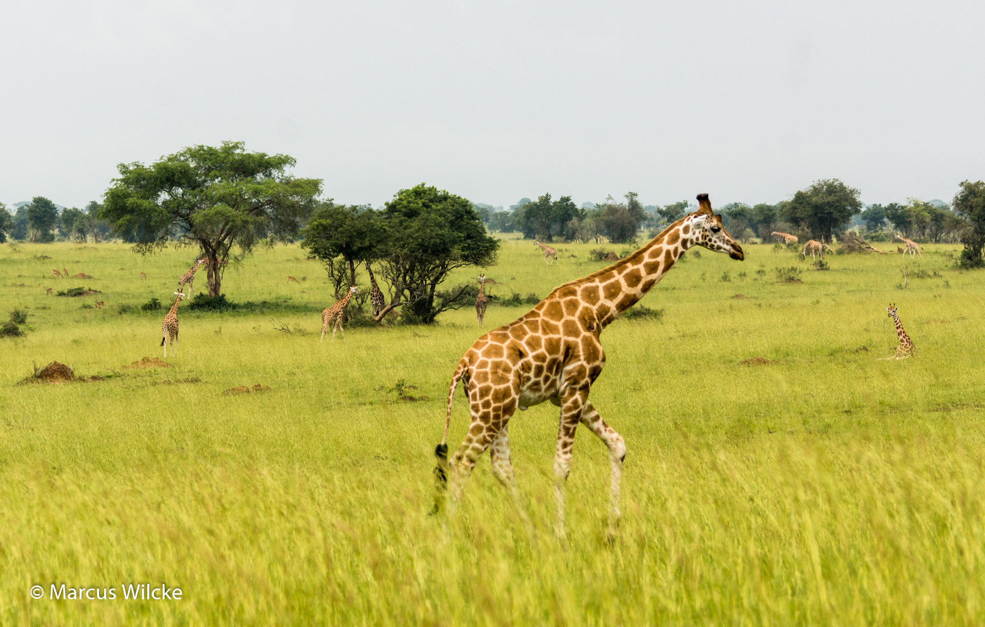  Murchison National Park