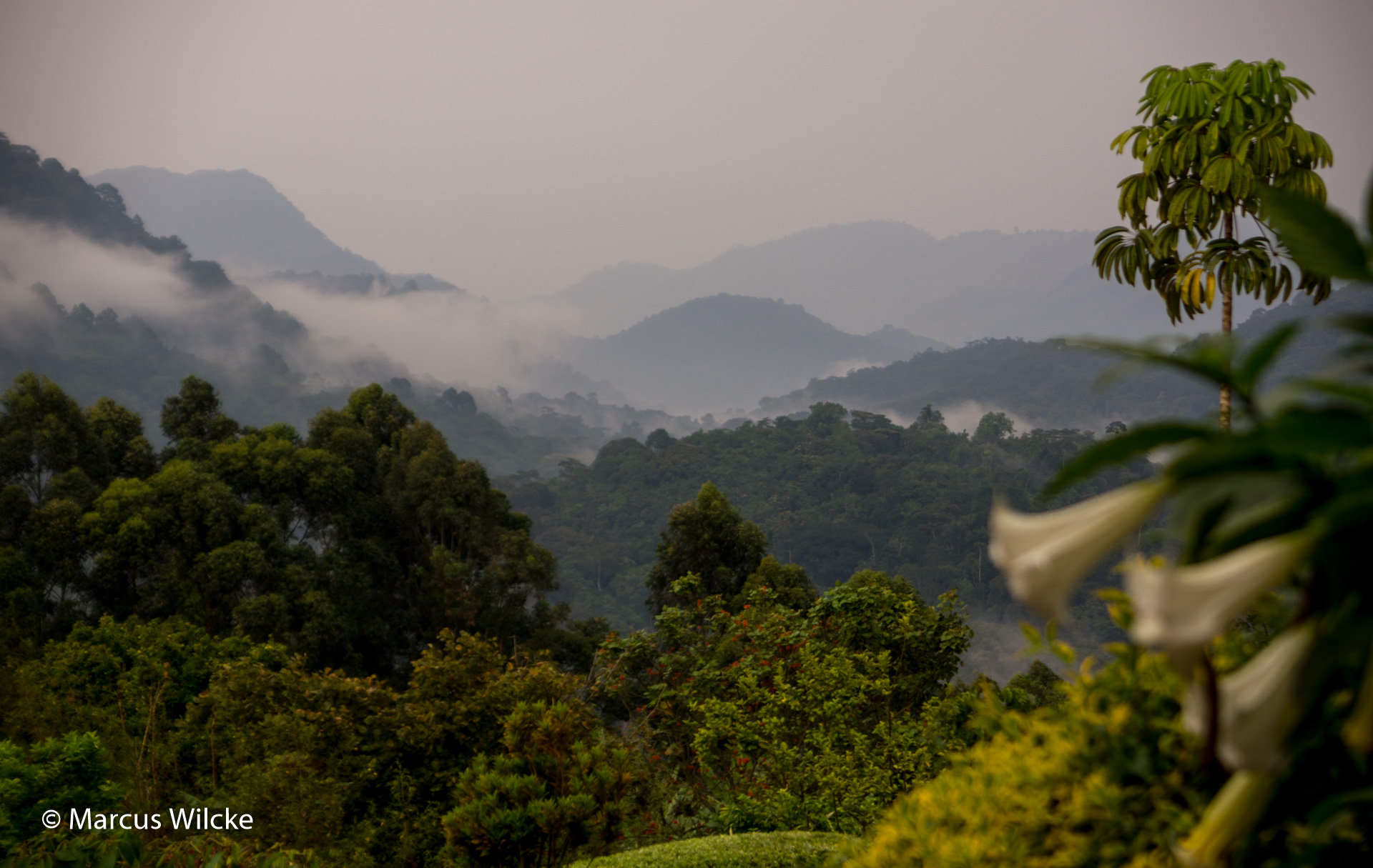 Bwindi NP