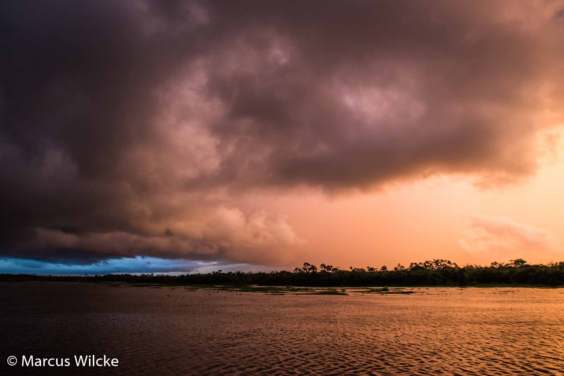 Amazonas