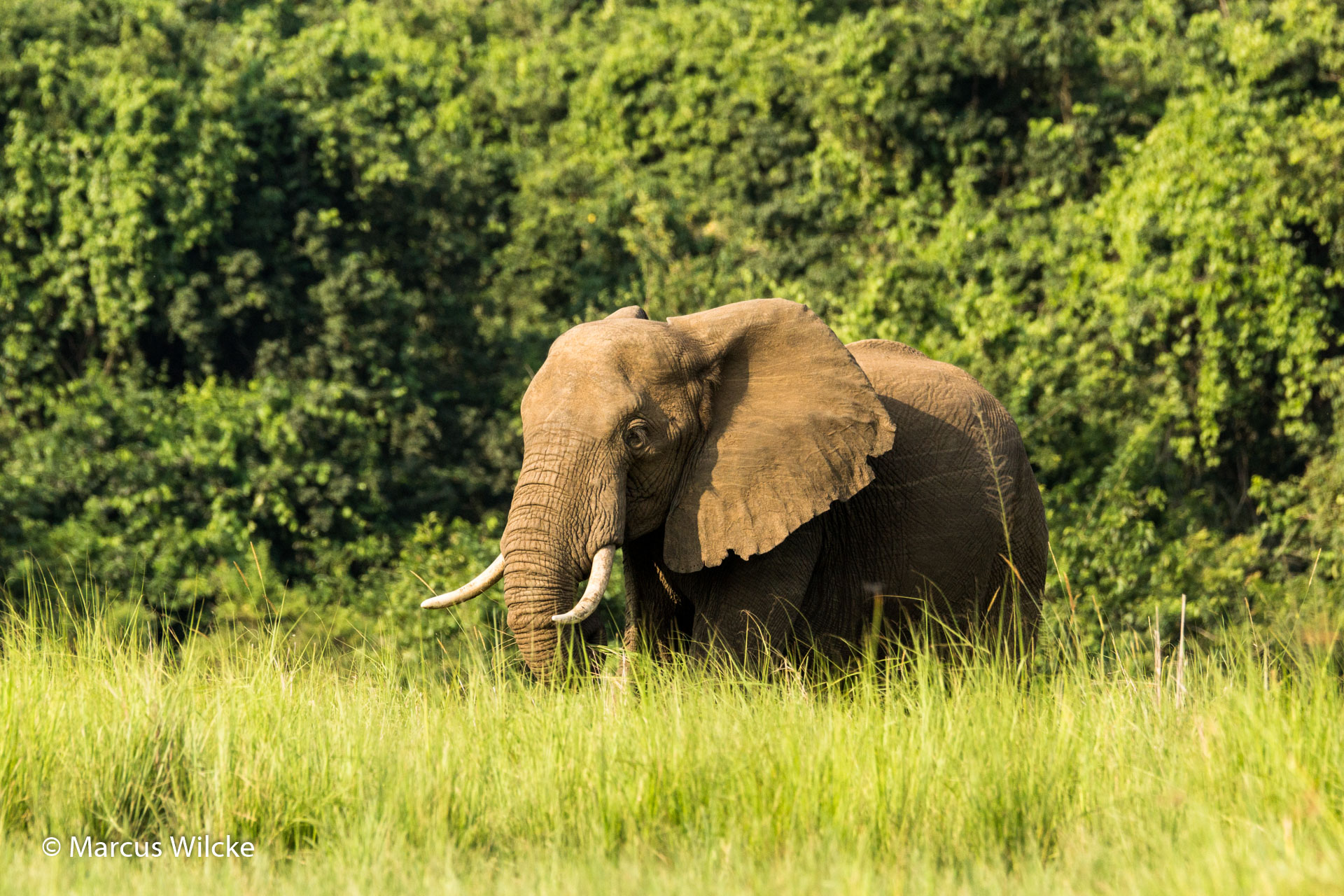  Murchison National Park