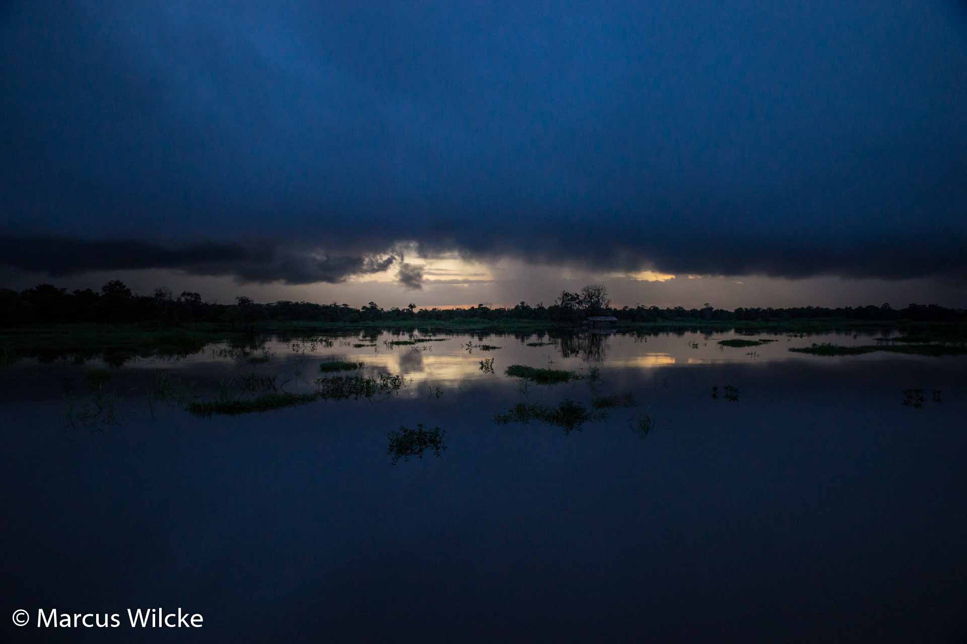 Amazonas