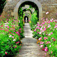MEZIDON CANON - Le chateau et les jardins - 20 km