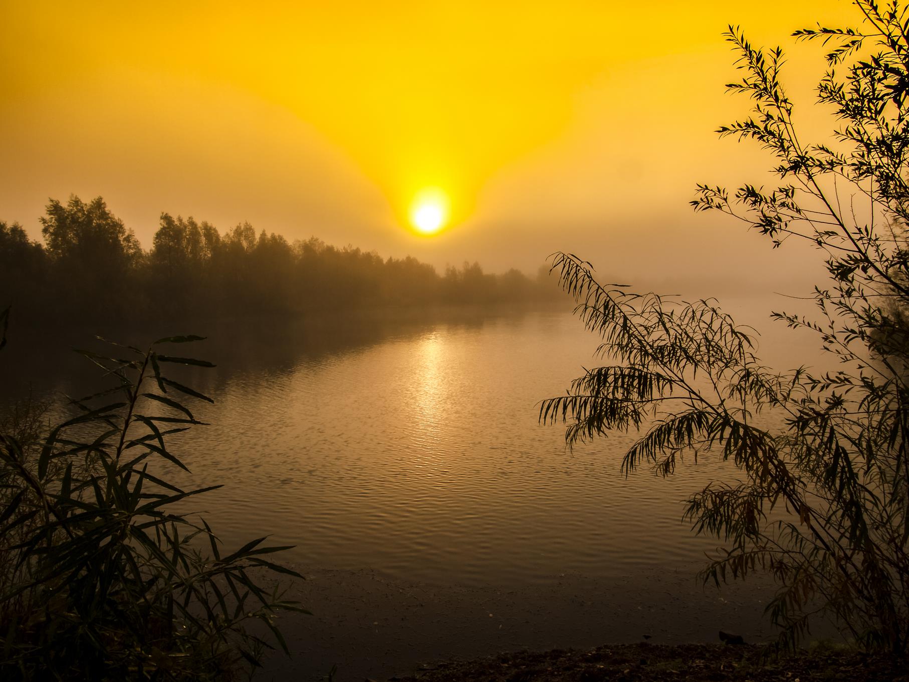 Sonnenaufgang am östlichen Teich.