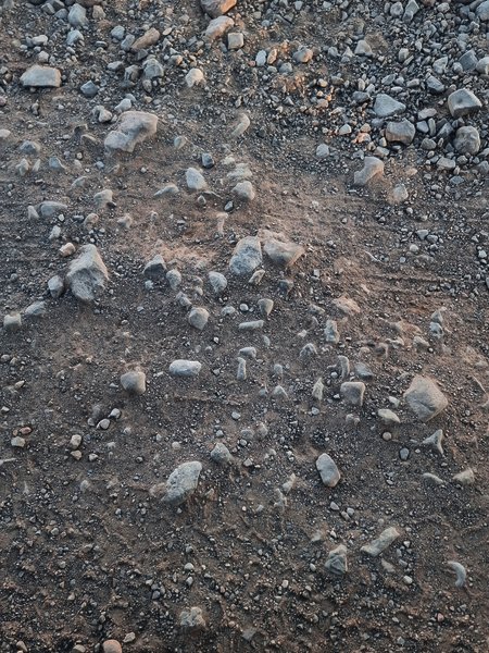 Gold Butte Road