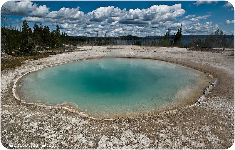 Blue Funnel  Spring