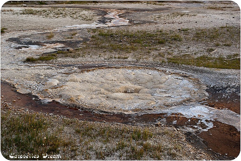 Anemone Geyser