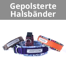 Gepolsterte Halsbänder, Hundehalsbänder, Halsbänder für Hunde, Halsband für grosse Hunde