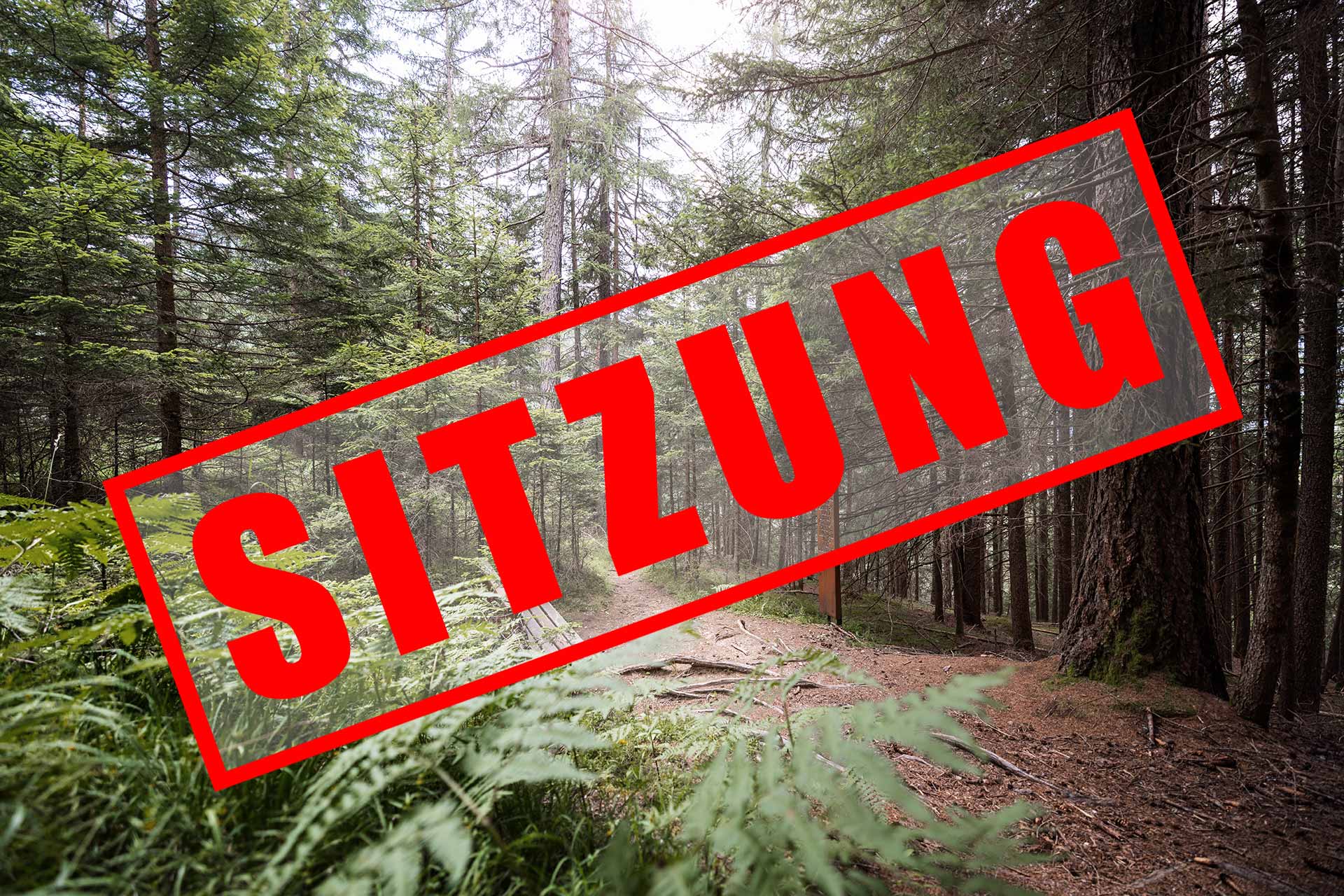 GR - Sitzung 28.01.2025