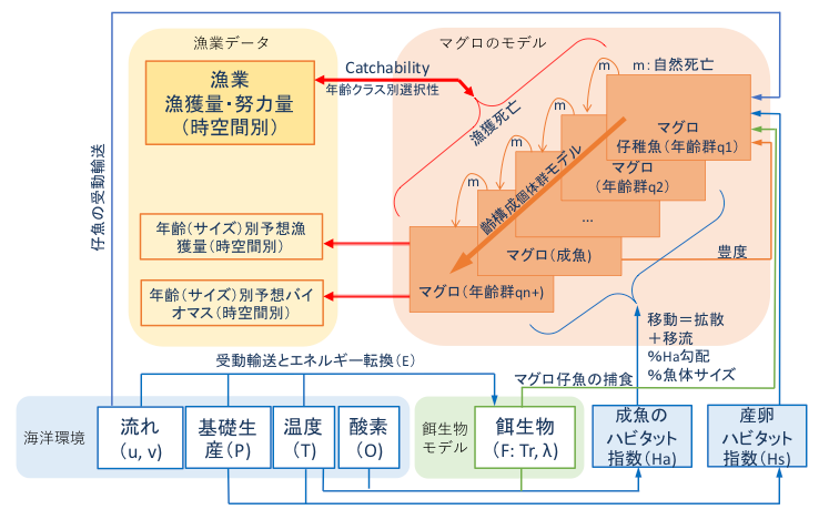 海洋の生態系と微生物 主な海洋生態系モデル - 清田雅史のホームページ