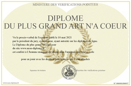 diplôme d'arnaqueur professionnel avec des palmes