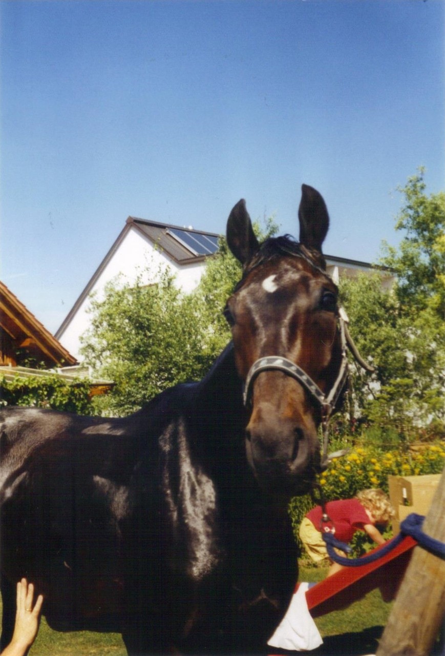 Don Sisko in Ebersweier, 2003