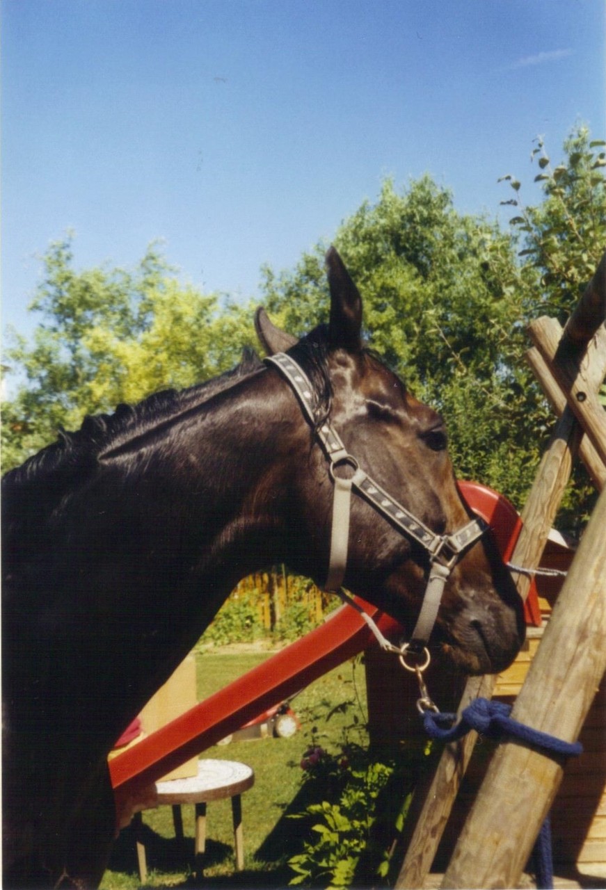 Don Sisko in Ebersweier, 2003