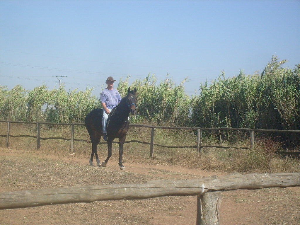 Don Sisko in Marokko, 2013