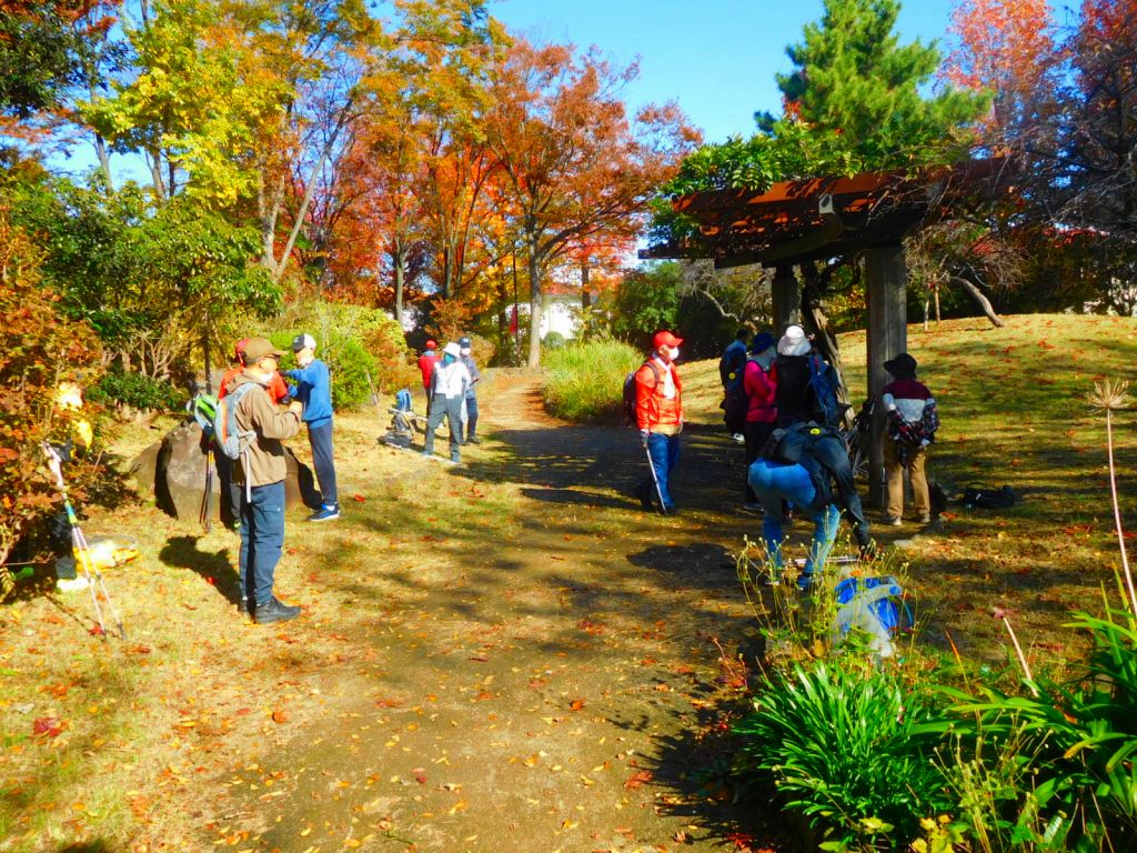 小黒公園で紅葉を眺めながら休憩