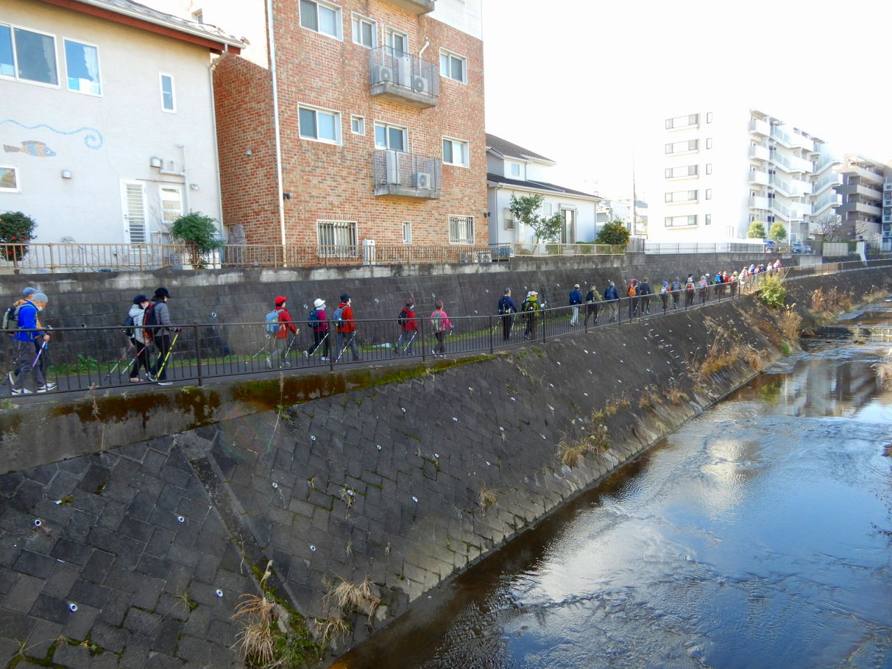 帰りの早淵川