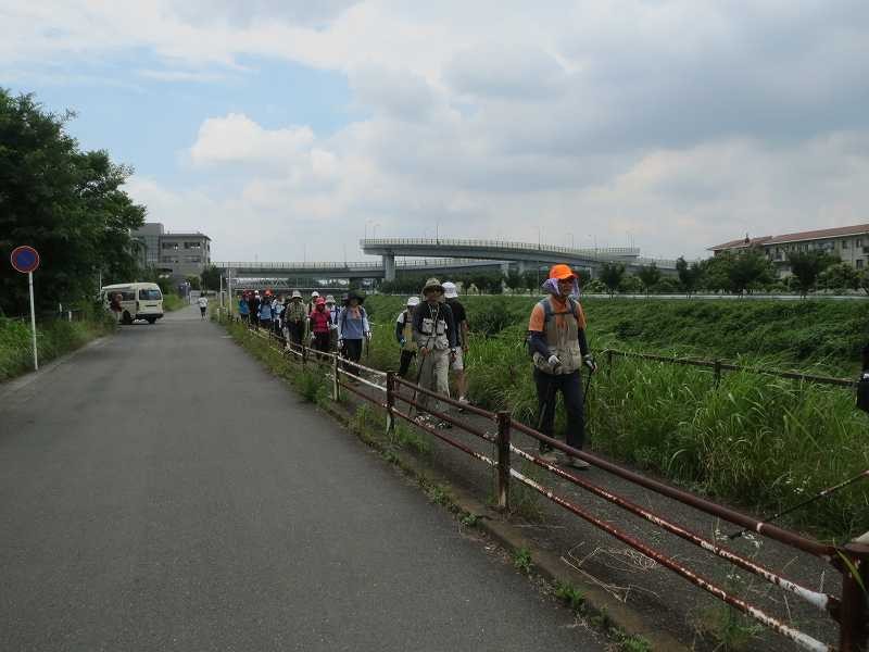 鶴見川沿いを一列でウォーキング、時折吹く風が気持ち良い