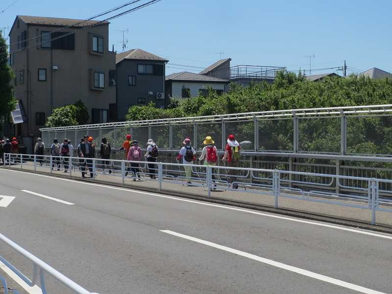 東名高速道路上の橋上をウォーキング見事に1列!!