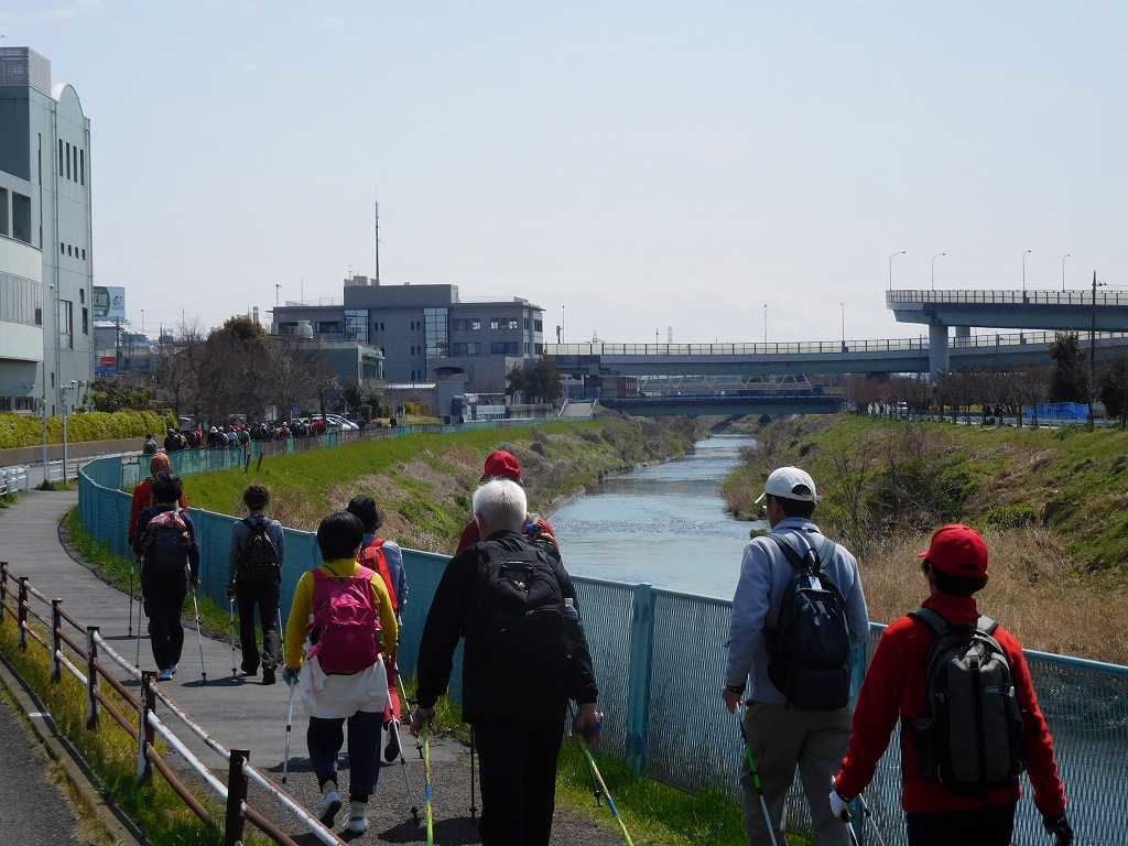 鶴見川　青葉消防車付近をウォーキング 、信号で隊列が伸びてしまいました