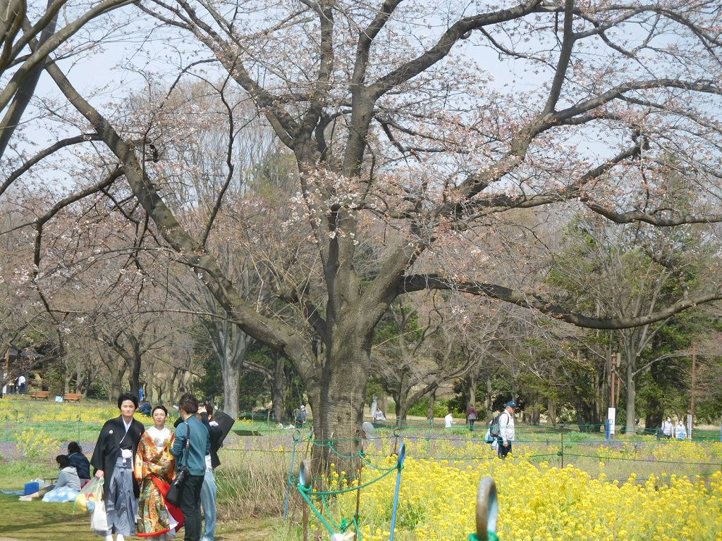 仲間だけでの結婚式？　