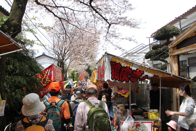 弥生神社は桜祭りで賛同は大混雑